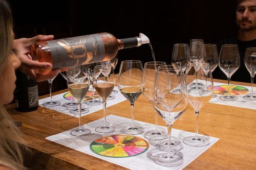 Curso de Análise Sensorial