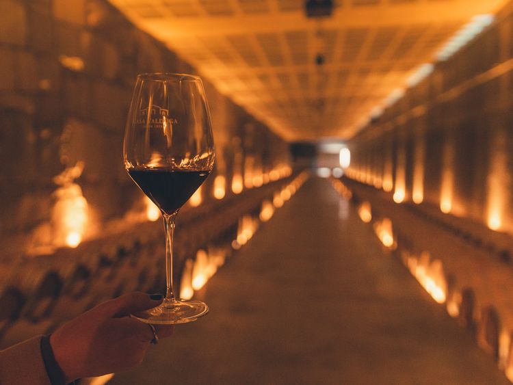 Experiência Evolução